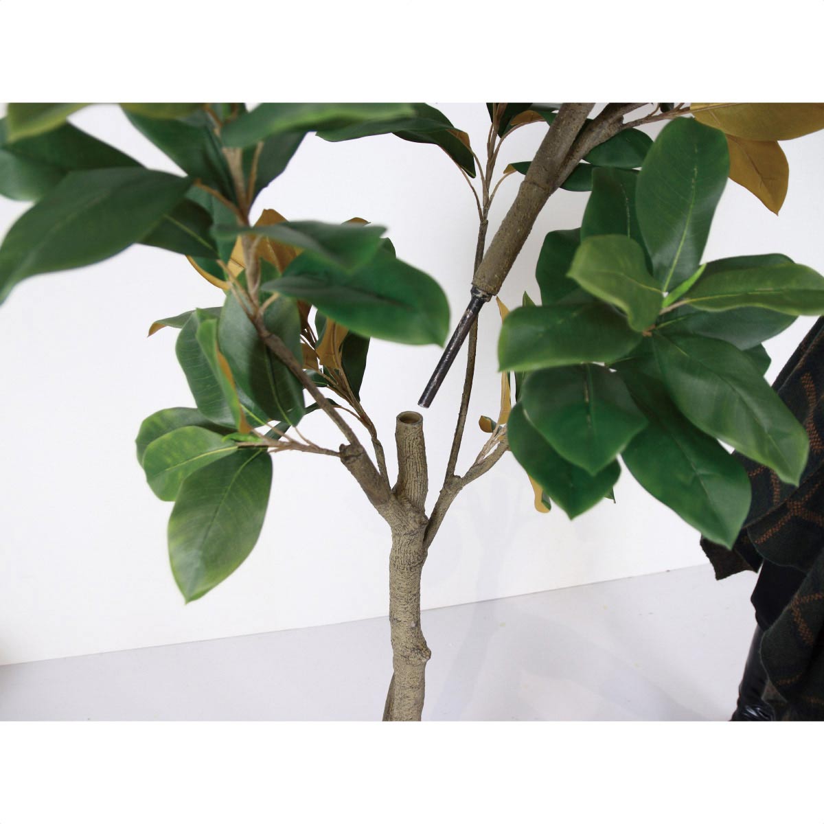 幹は差し込み式です。