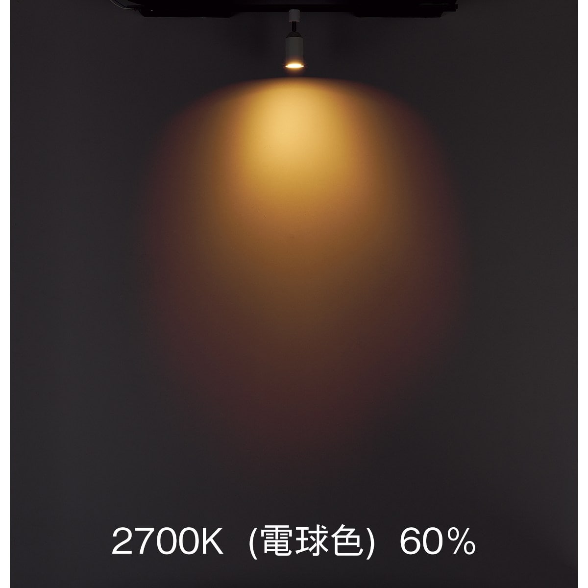 調光調色スマートスポットライト〔ストエキオリジナル〕 本体[リモコン付き]