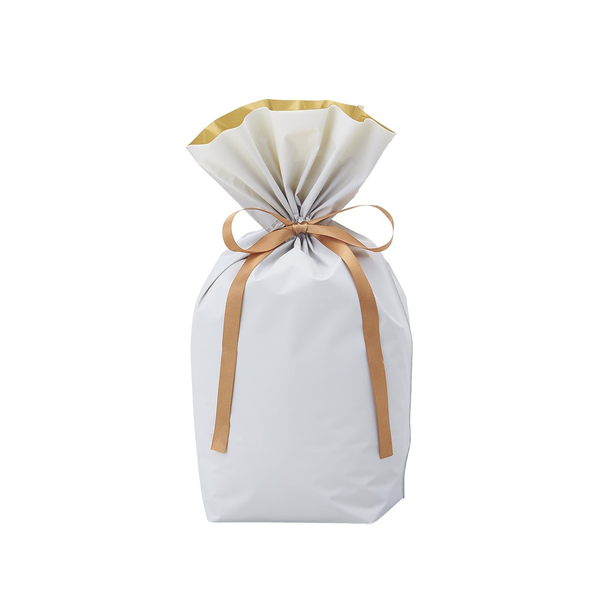 (2) 24×36[24]×底マチ12cm