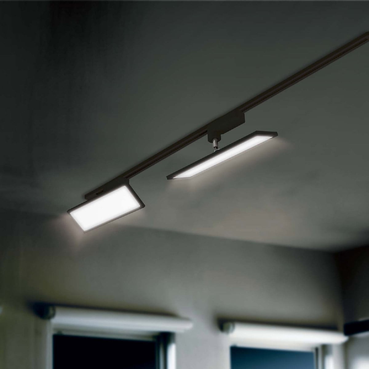 (2)昼光色 ブラック