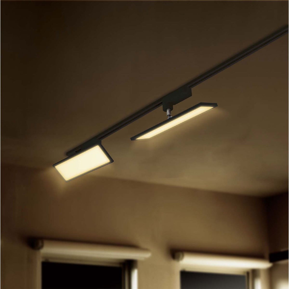 (4)電球色 ブラック