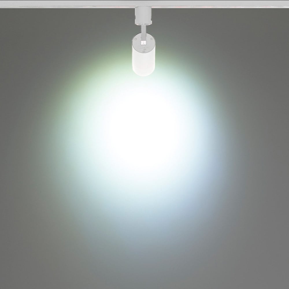 (1)昼光色ホワイト