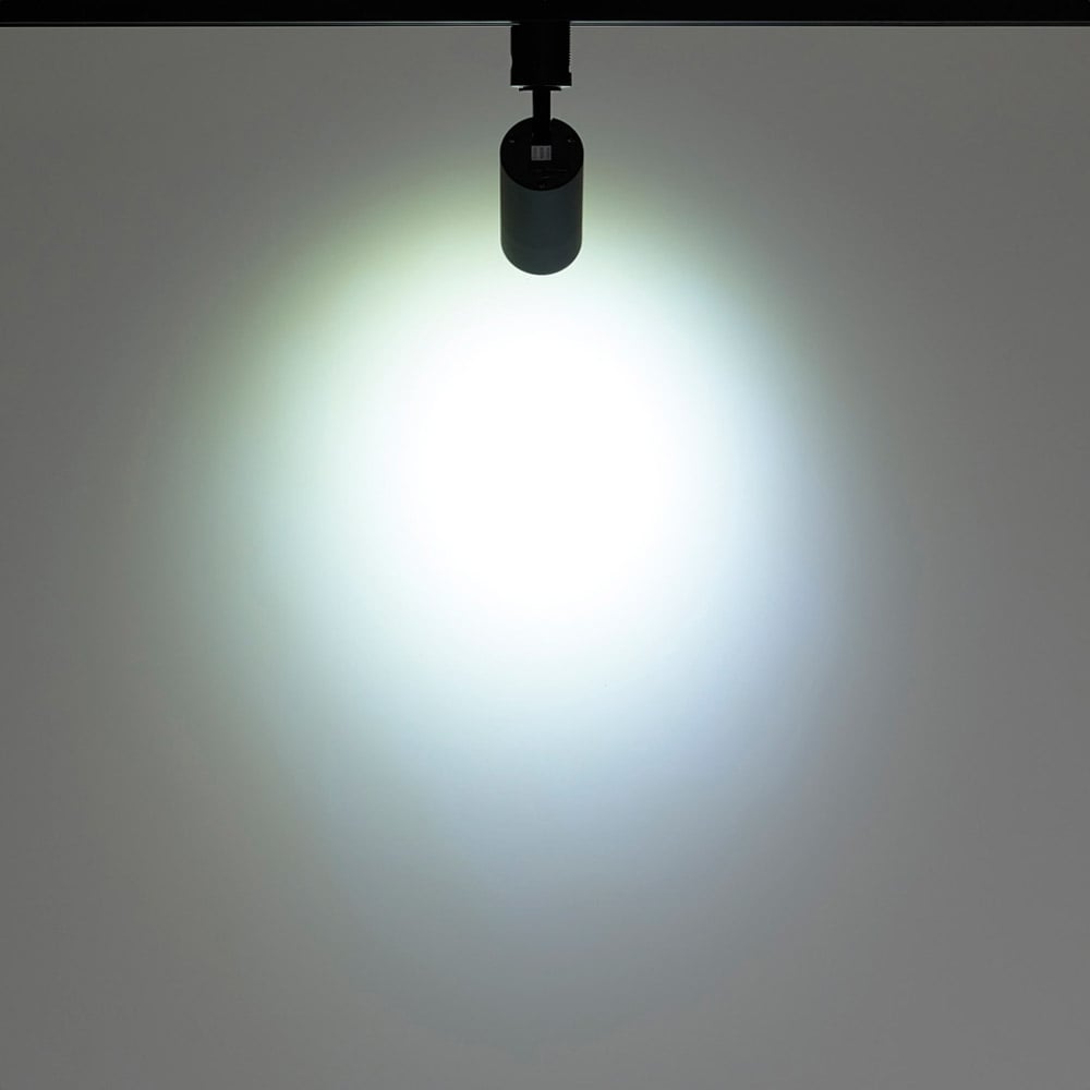 (2)昼光色ブラック