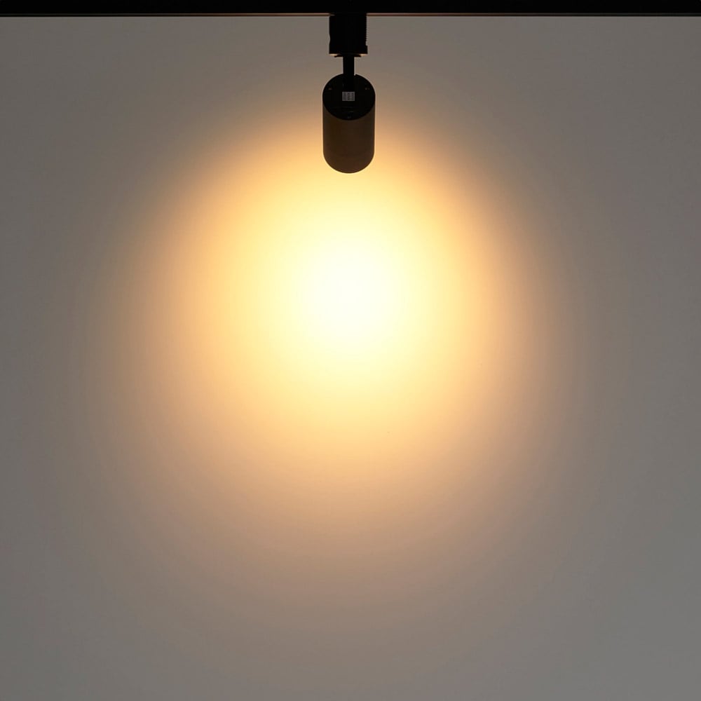 (4)電球色ブラック