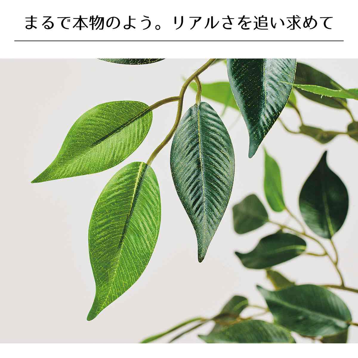 フィカスダブル(人工樹木)〔ストエキオリジナル〕