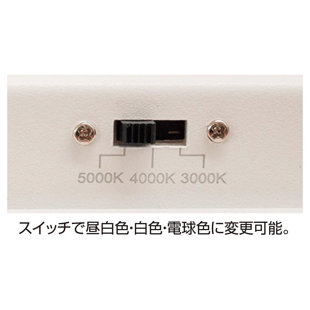 (1)ホワイト