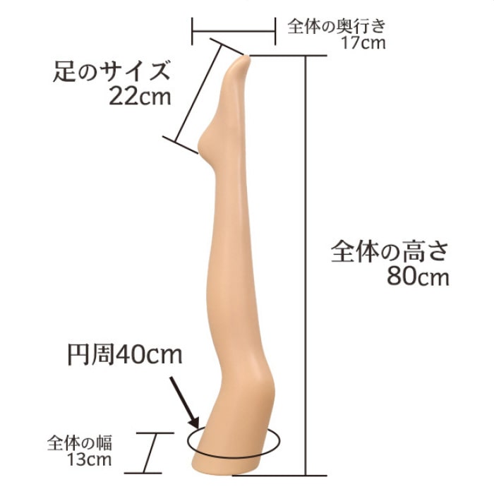 レッグディスプレイ（ベージュ）婦人用　右足