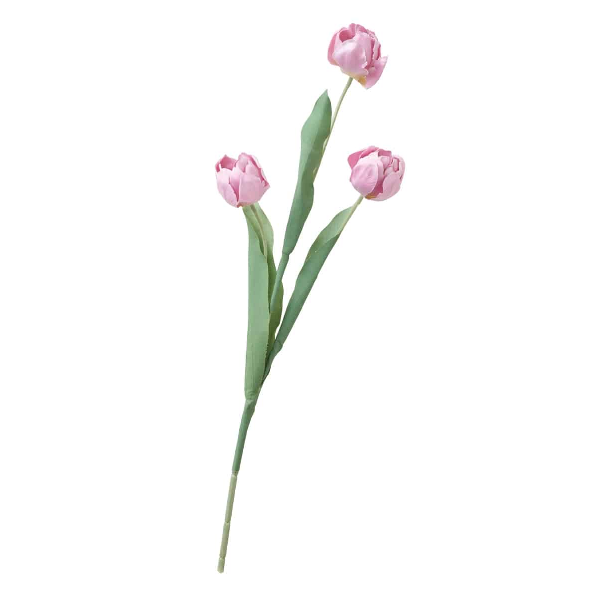 (1)ライトピンク