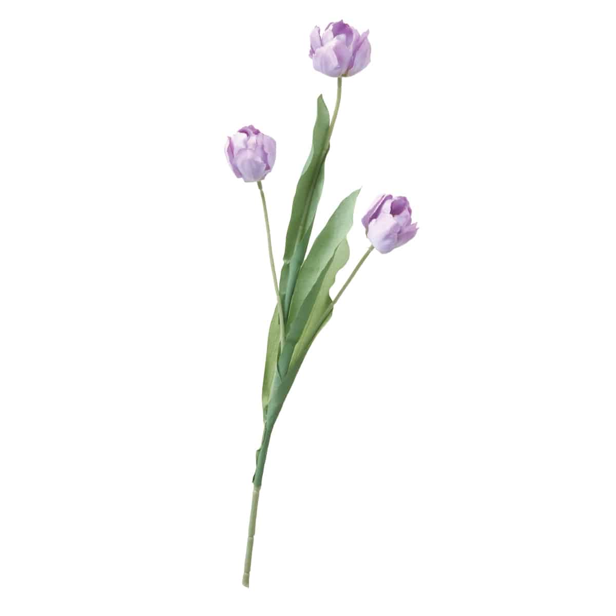 (4)ライトラベンダー