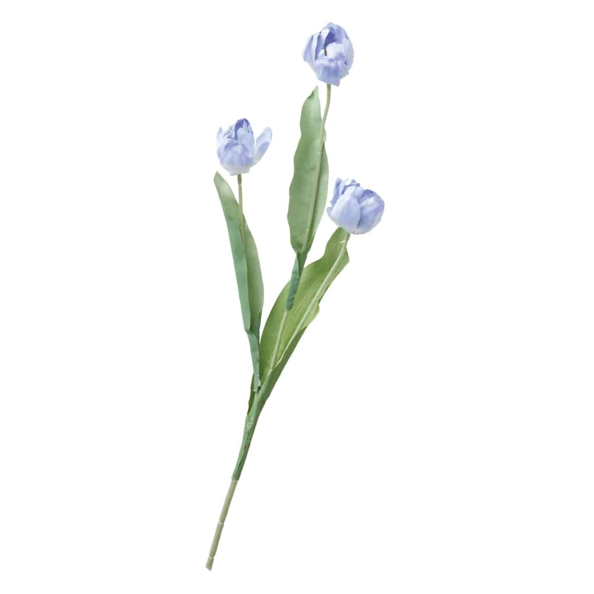 (5)ライトブルー