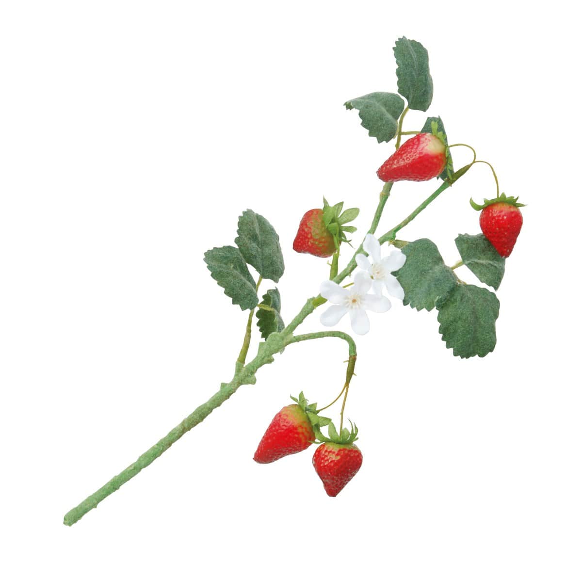 6本 ストロベリーショートブランチセット31cm