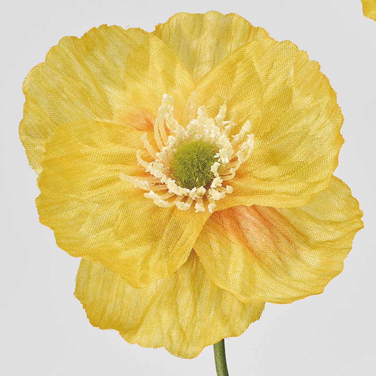 (3)イエロー　部分アップ