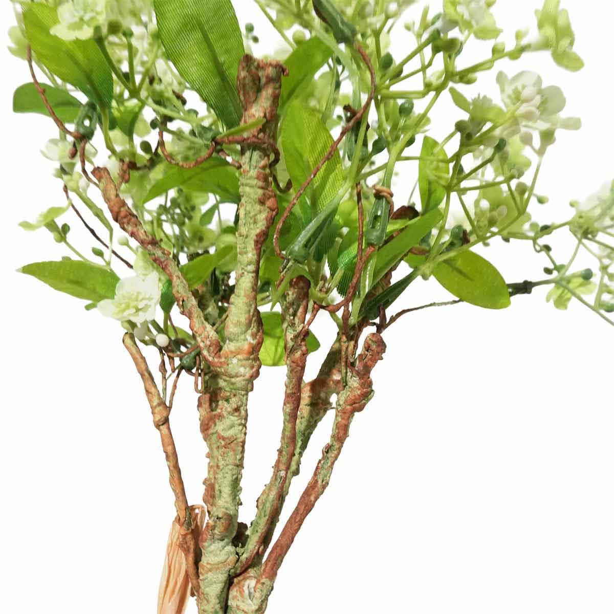 (2)ライトグリーン