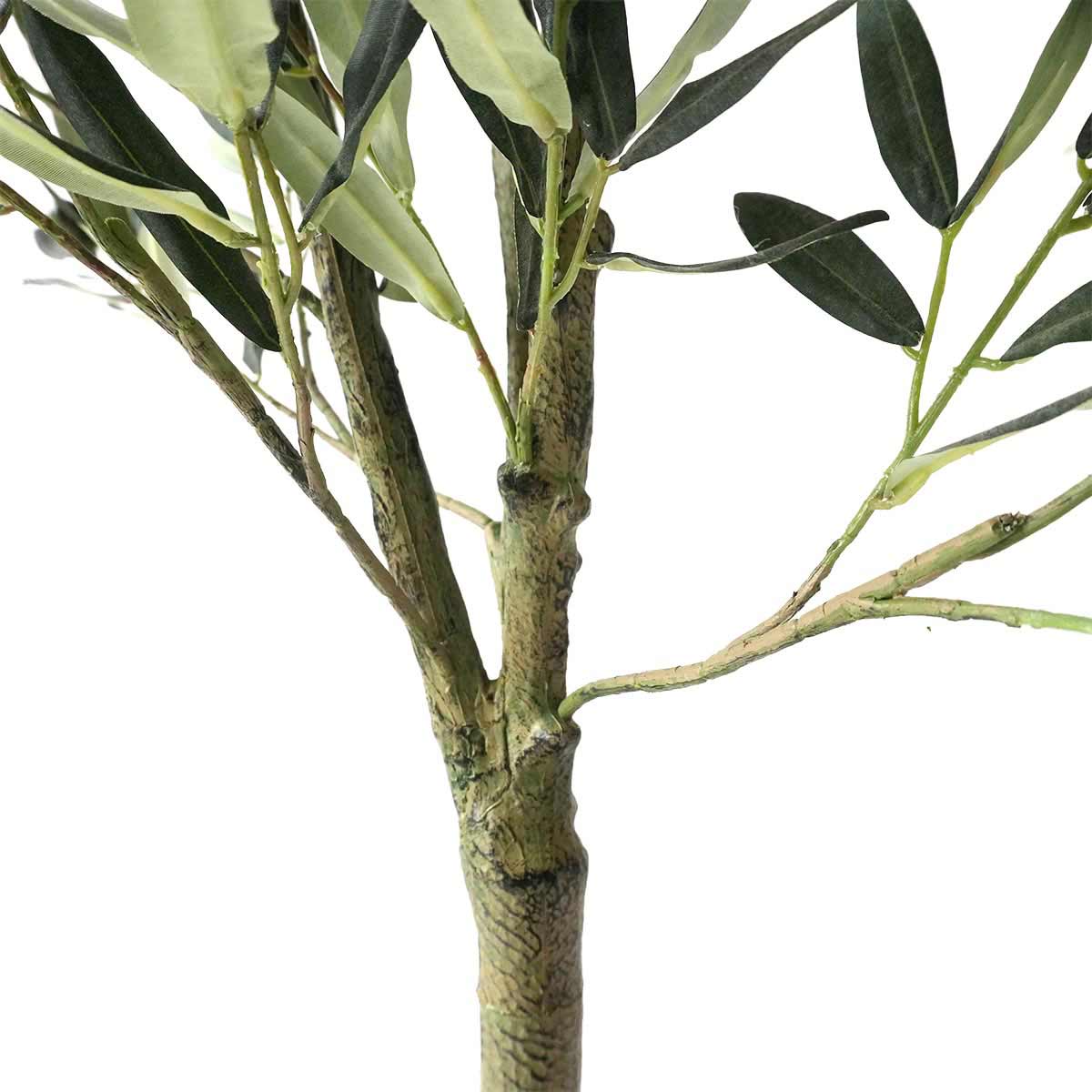 (2)オリーブ 部分アップ