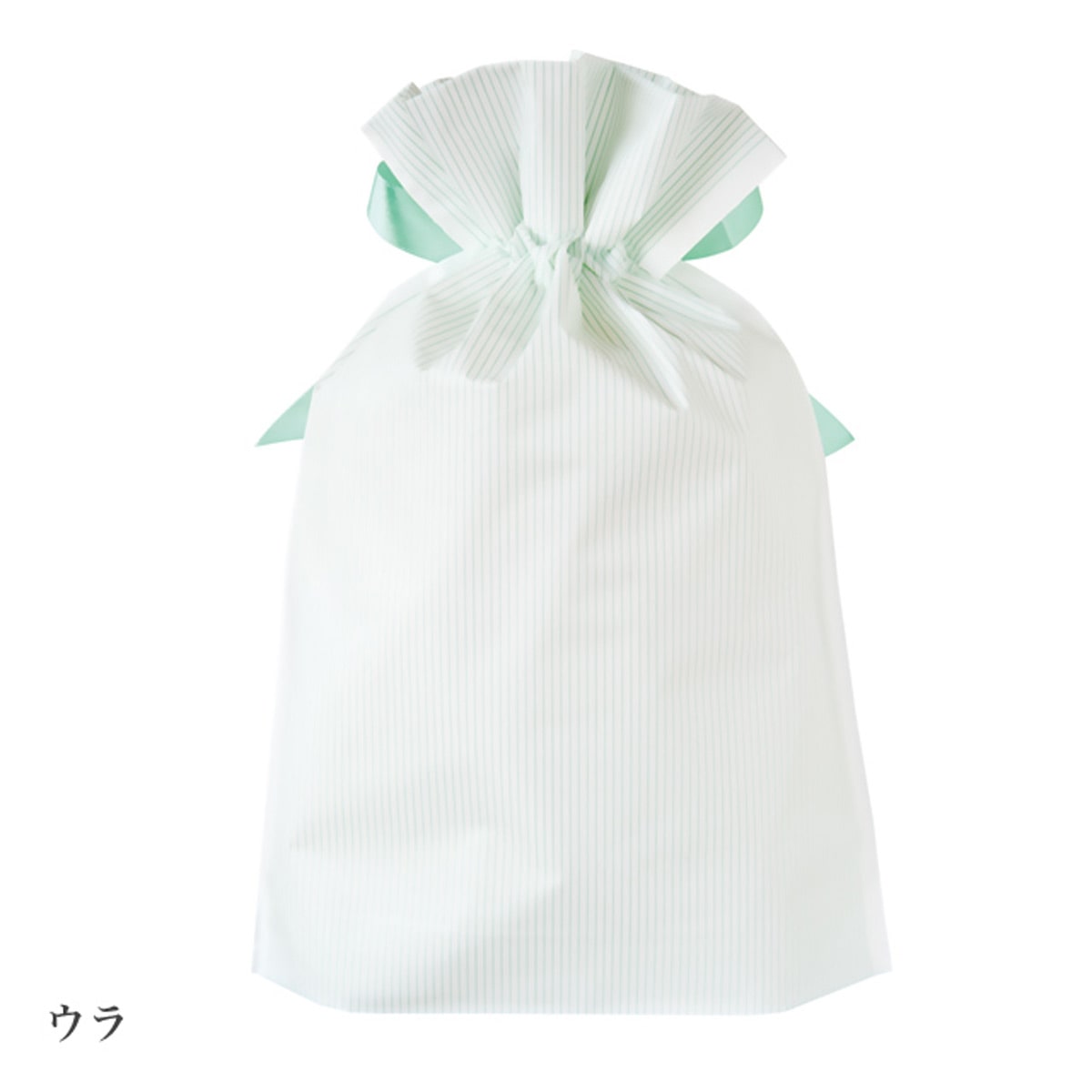 (1)15×23[16]×底マチ5cm　裏