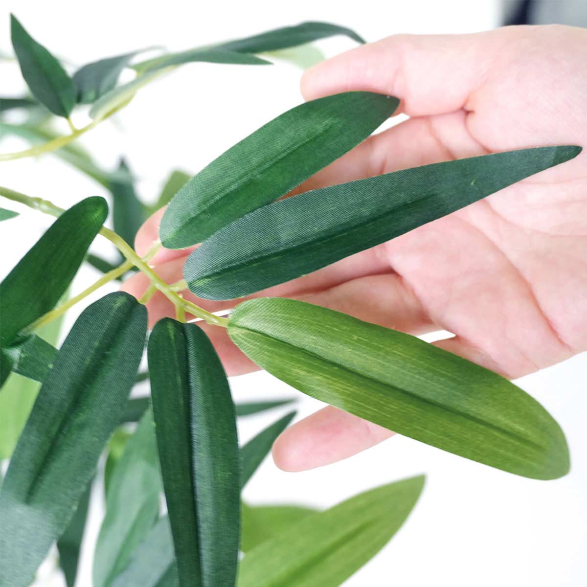 (1)バンブー 1台