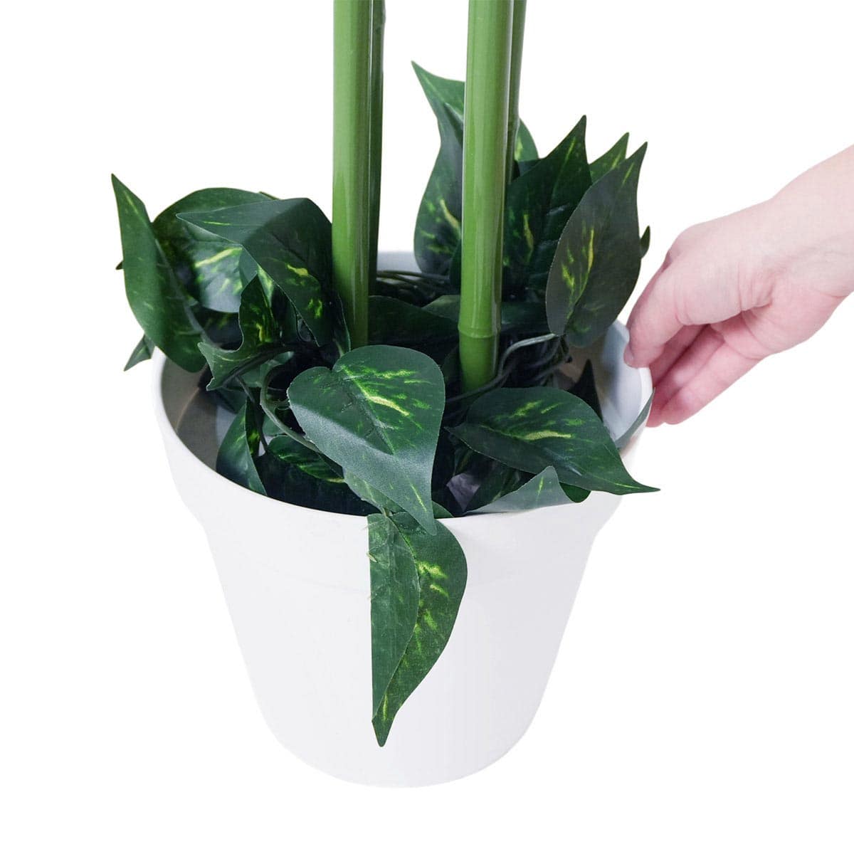 七夕笹バンブー高さ210cm　(人工観葉植物)〔ストエキオリジナル〕