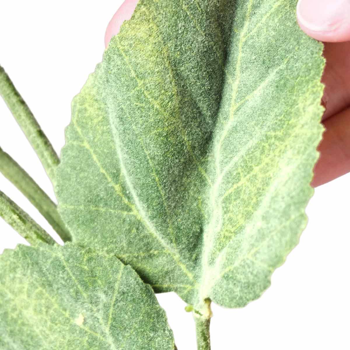 (2)オレンジイエロー