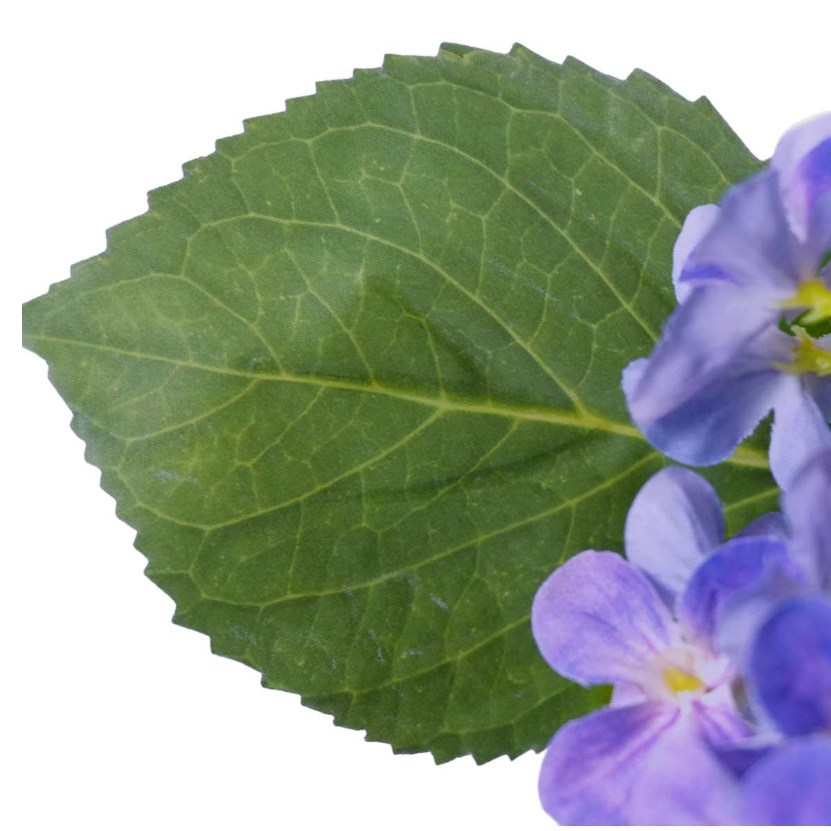 (3)ラベンダーパープル