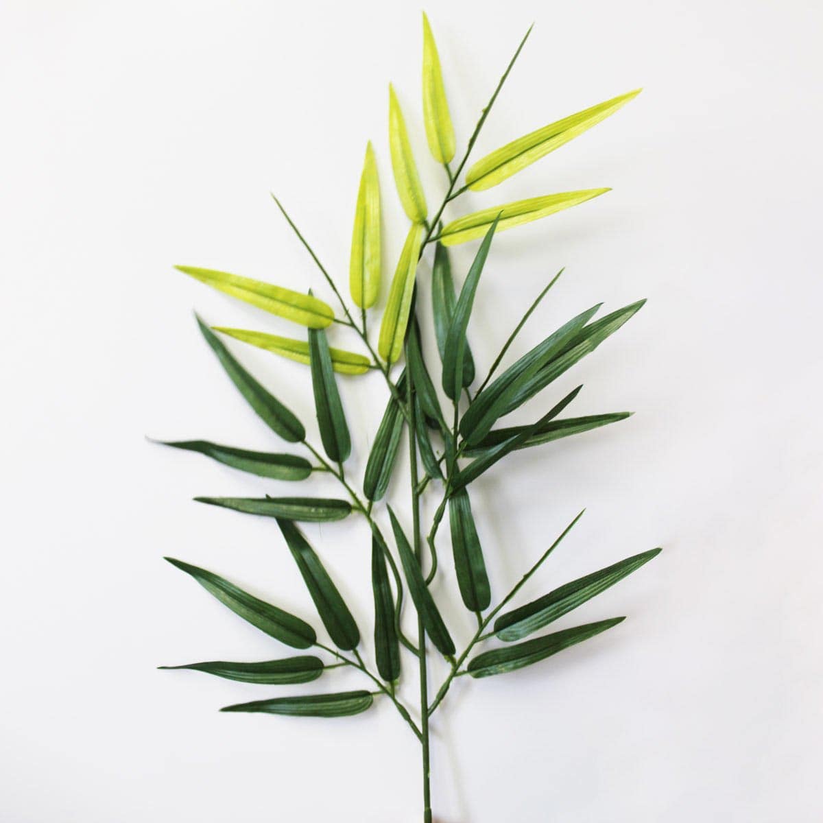 七夕笹 バンブー大枝110cm