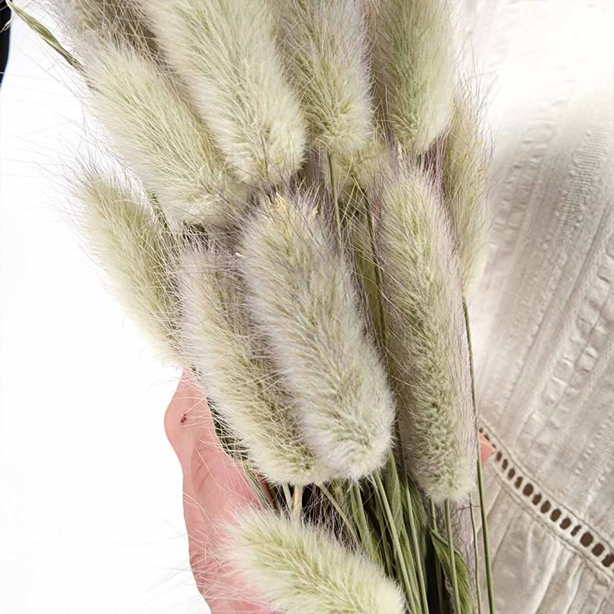 (3)ラグラス アップ