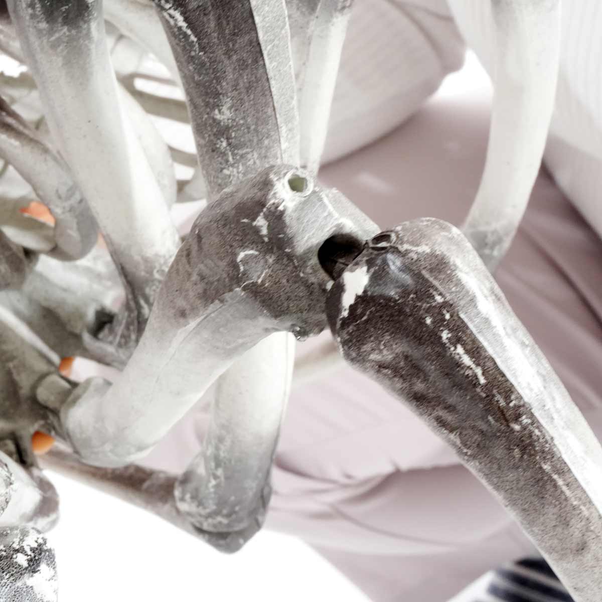 ジャイアントボーンスパイダー幅81cm