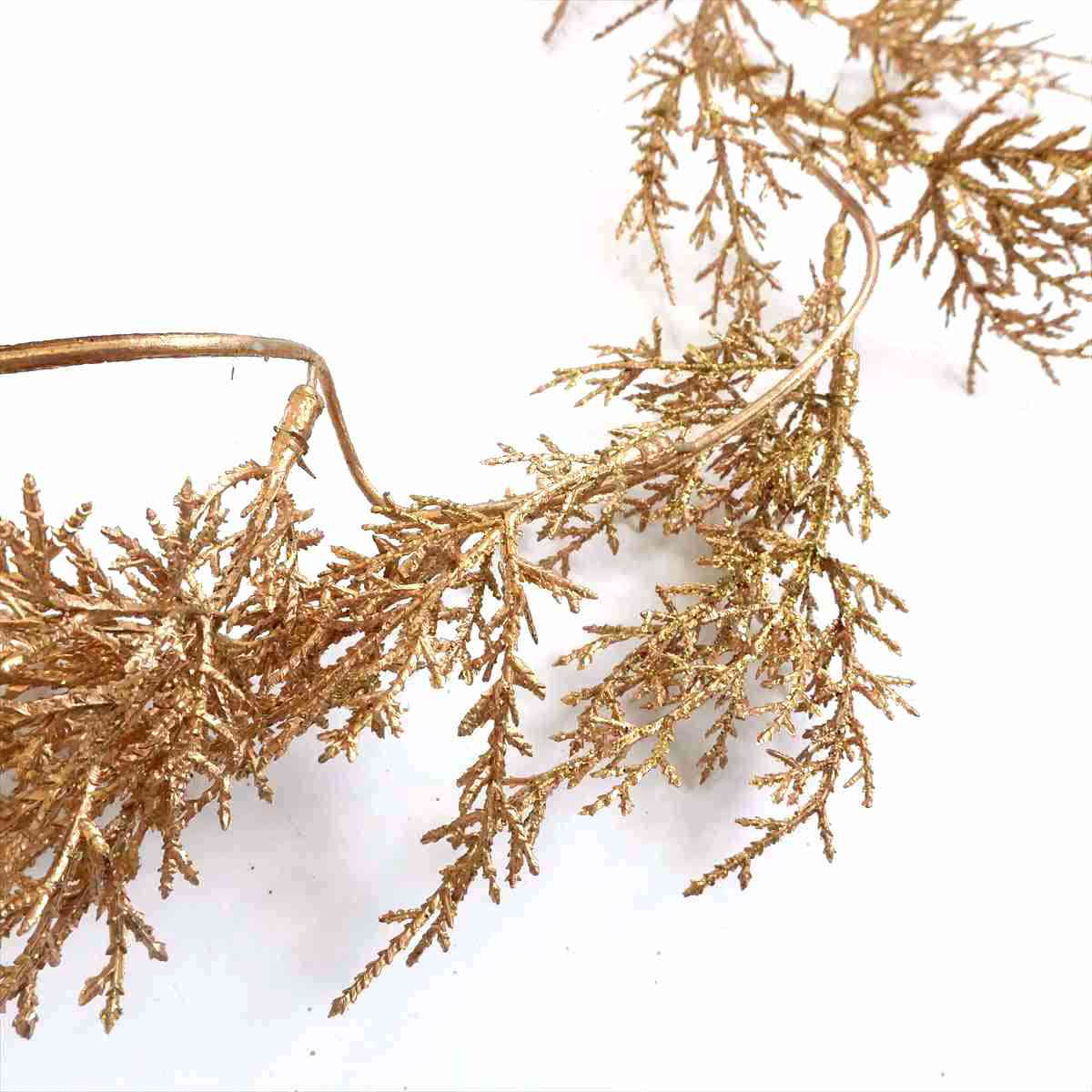 (1)ゴールド 部分アップ