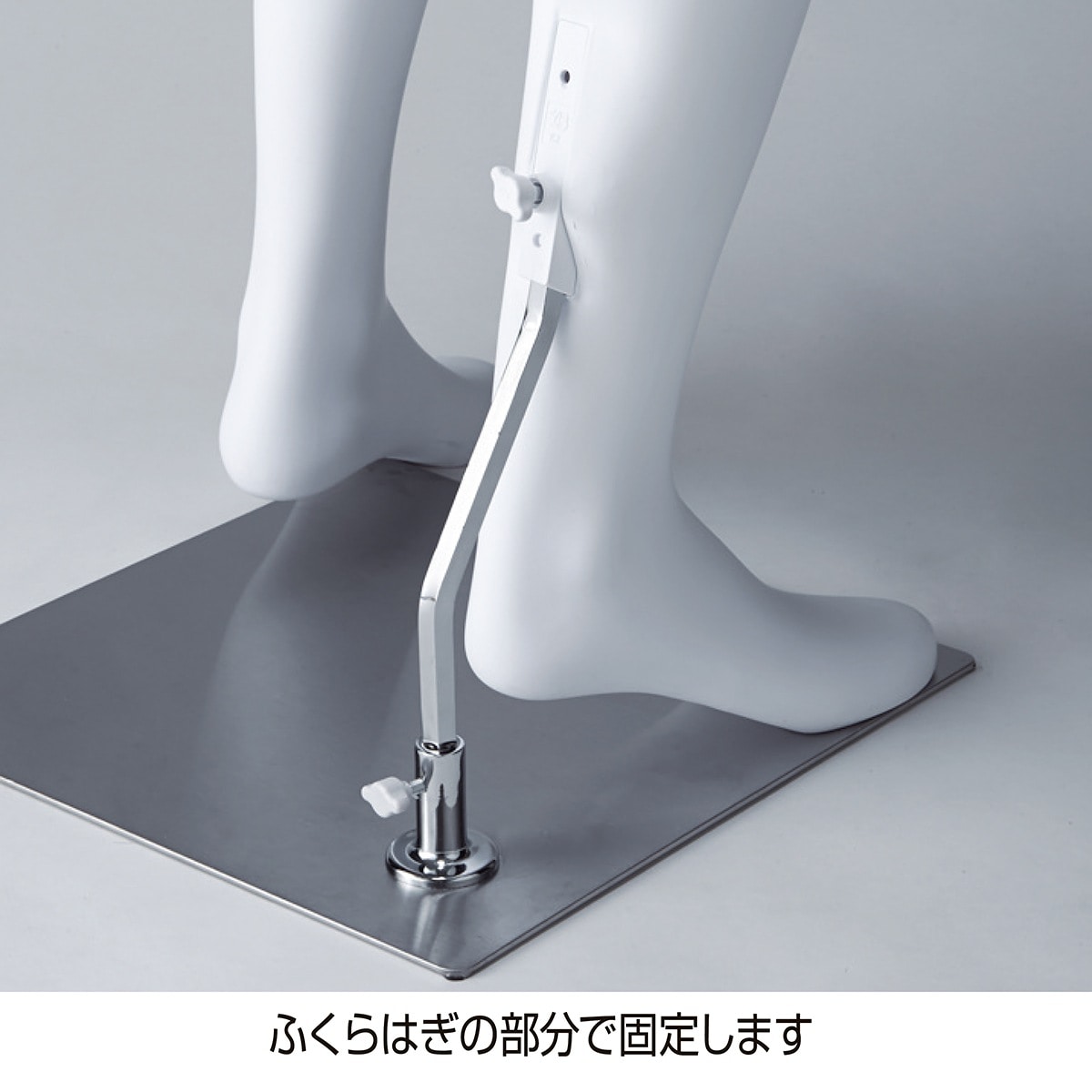 軽量ABS製 婦人パンツトルソー 白〔ストエキオリジナル〕