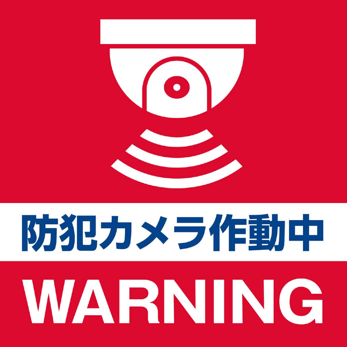 ドーム型防犯ダミーカメラ［型番：DC-002］