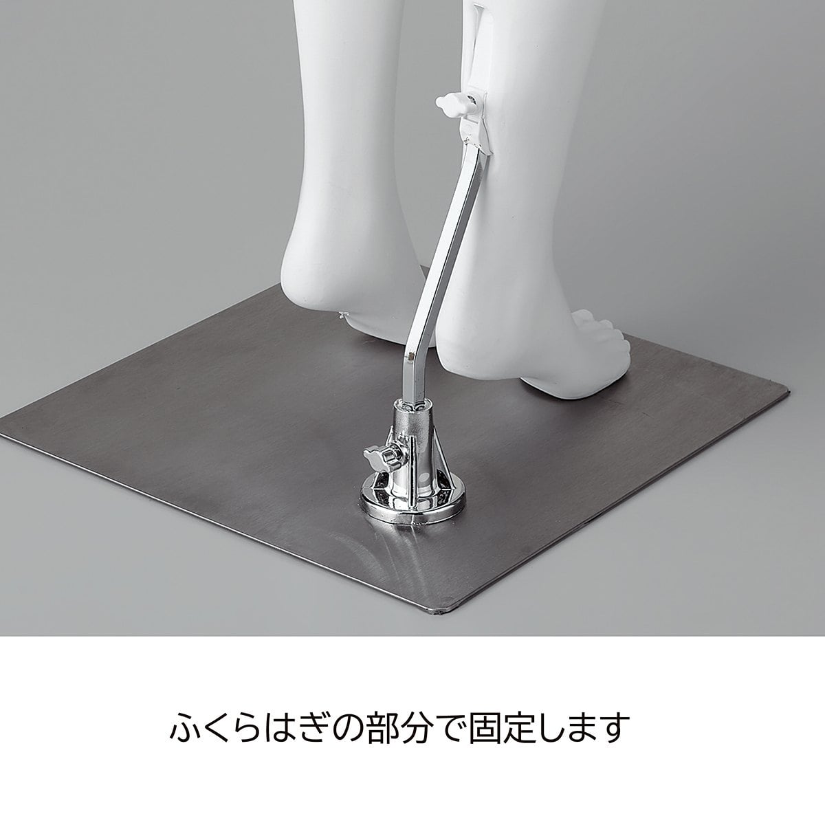 PP製 婦人パンツトルソー〔ストエキオリジナル〕