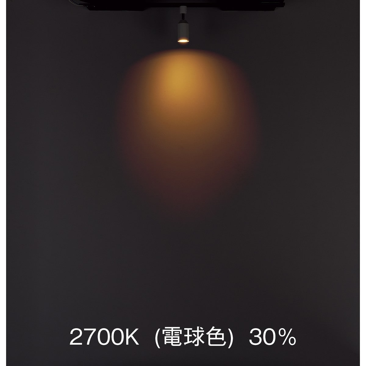 調光調色スマートスポットライト〔ストエキオリジナル〕 本体[リモコン付き]