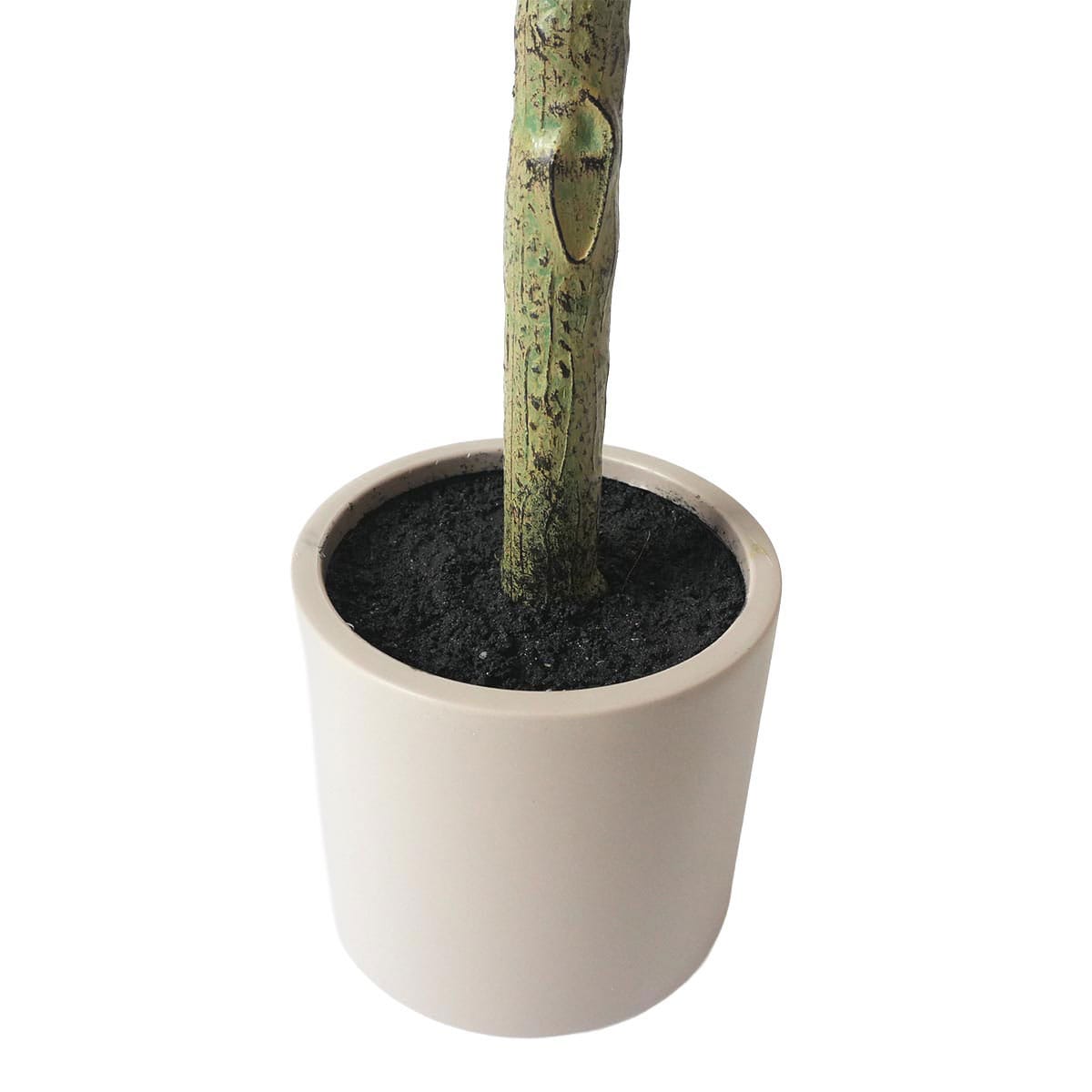 (2)オリーブ 部分アップ