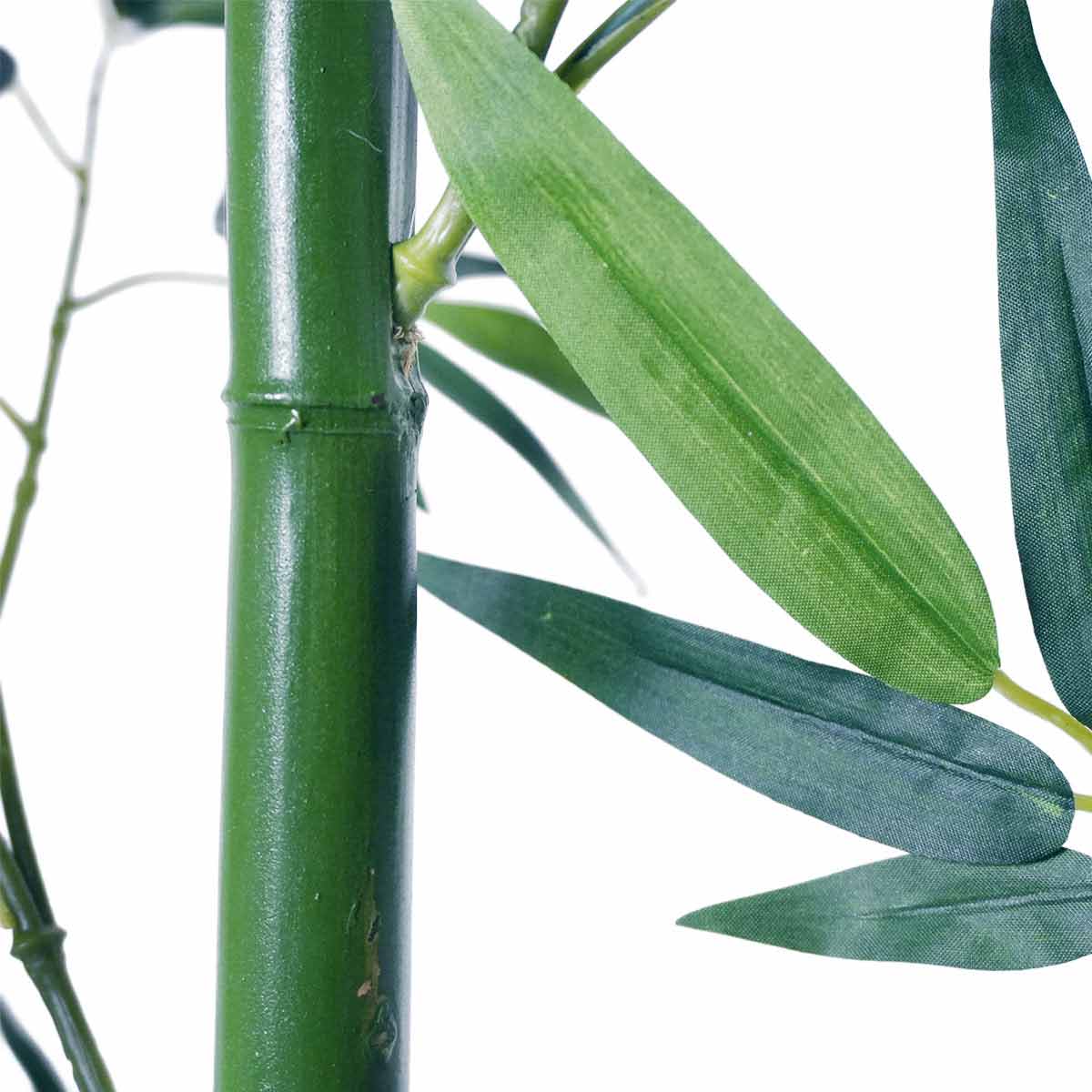 (1)バンブー 1台