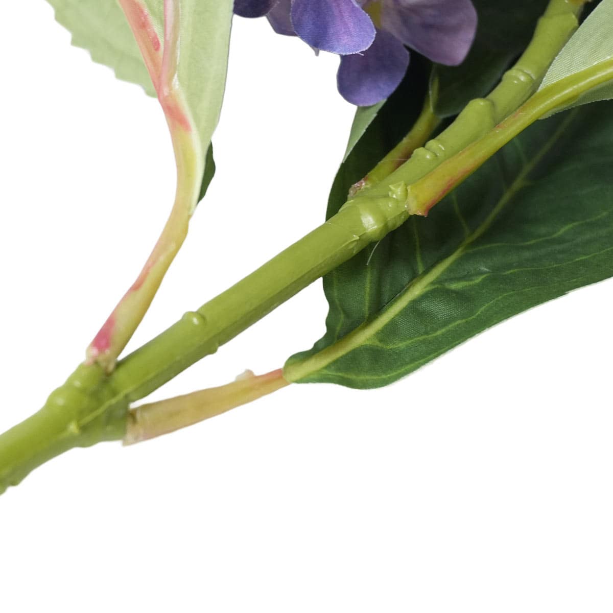 (3)ラベンダーパープル