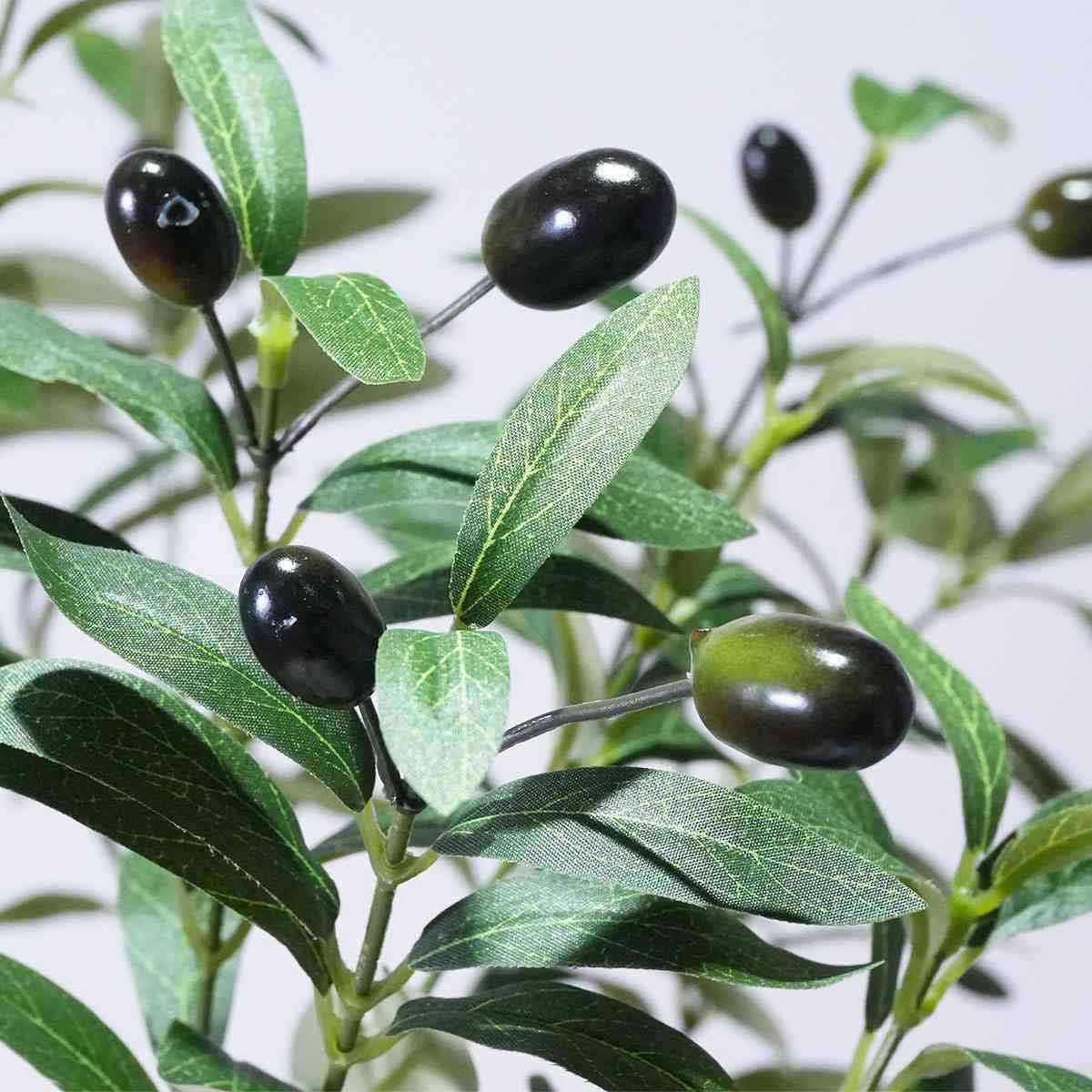 (1)H150cm 部分アップ