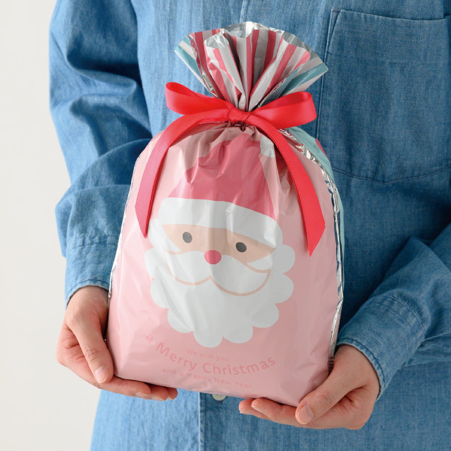 (1) 幅24×高さ35[25]×底マチ6cm