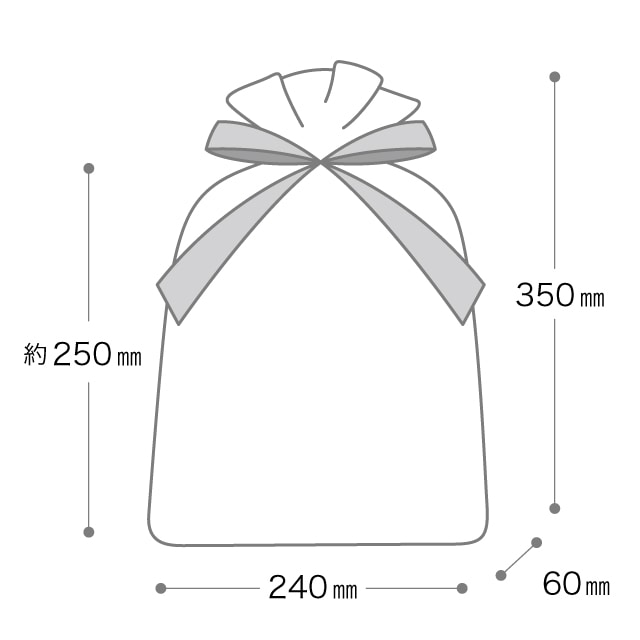 (1)24×35[25]×底マチ6cm