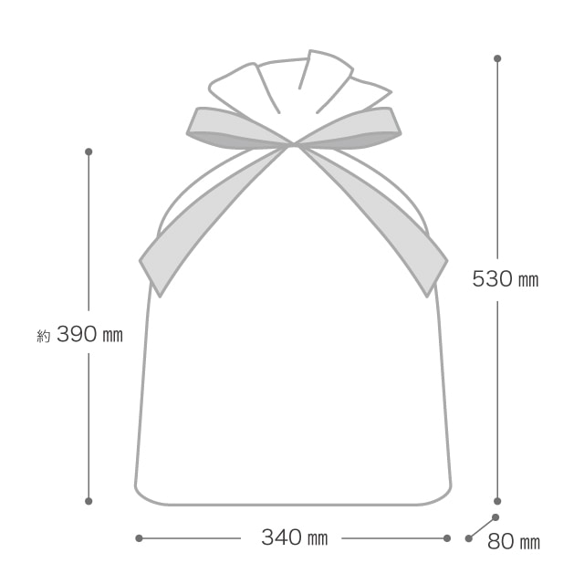 (2)34×53[39]×底マチ8cm