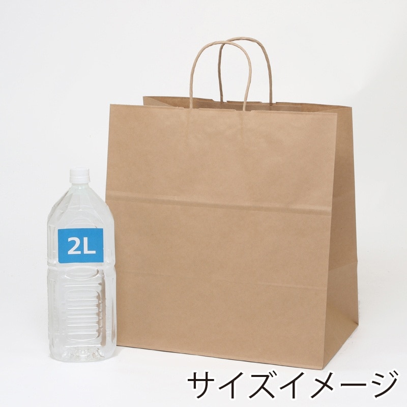 (10)38×25×39.5cm 50枚