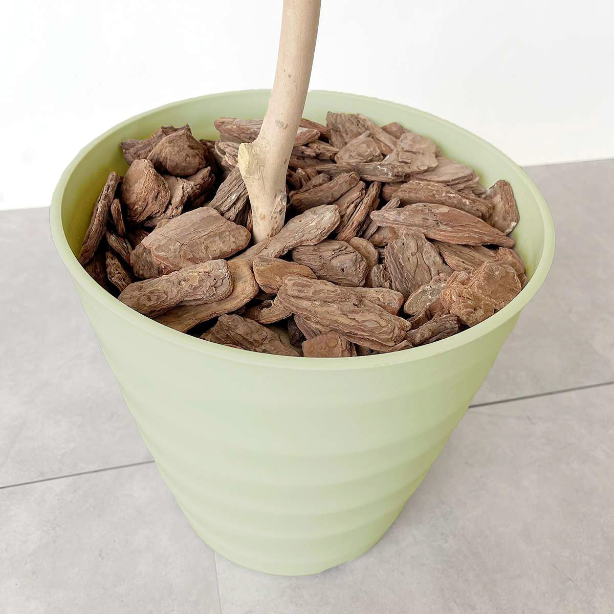 (3)アムステルダムラバー