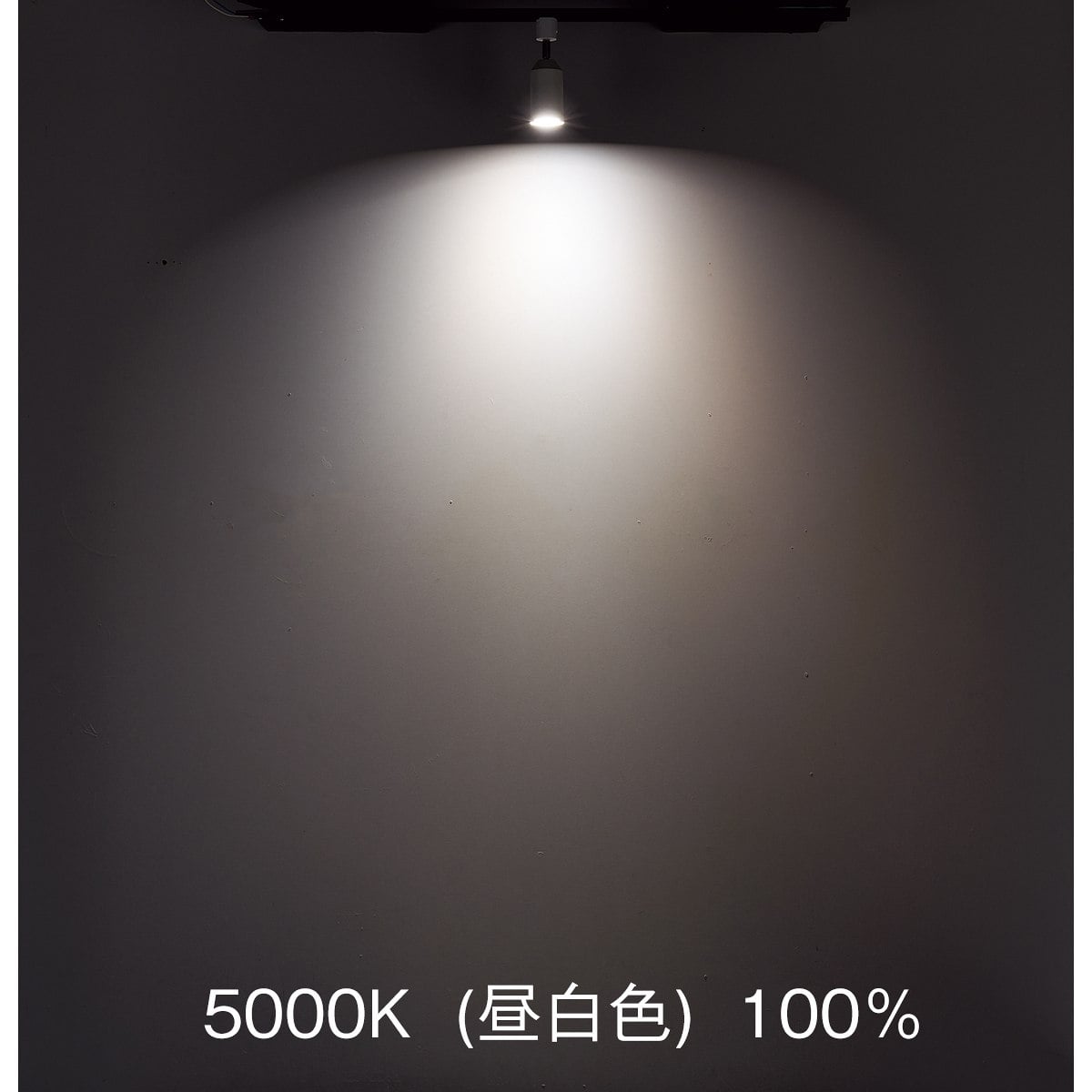 調光調色スマートスポットライト〔ストエキオリジナル〕 本体[リモコン付き]