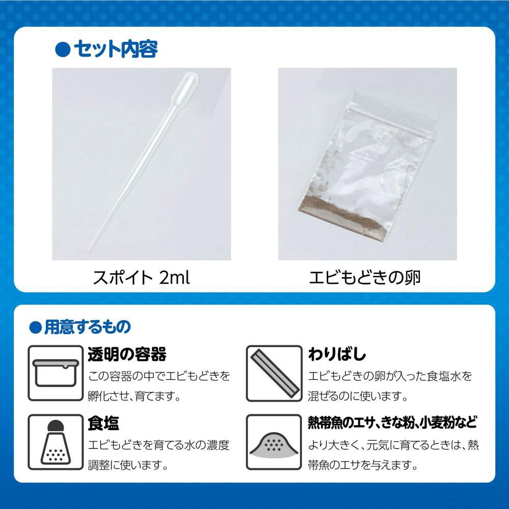 40個 簡単！育てるエビもどき イベントセット