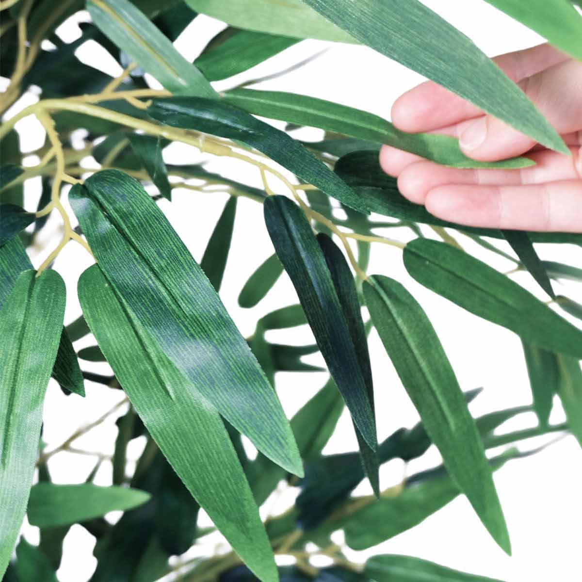 (1)バンブー 1台