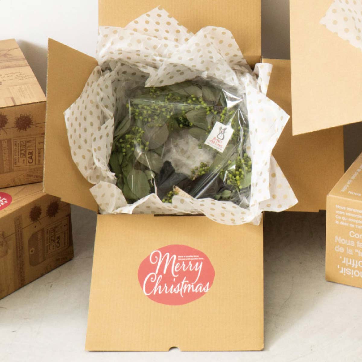 (1)レッド 使用例