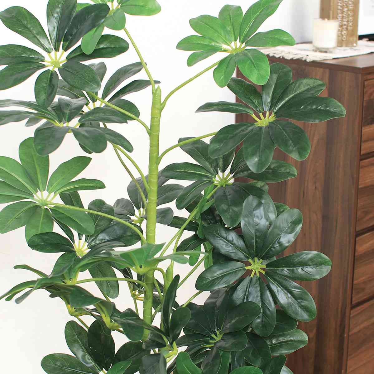 ヤドリフカノキ 人工樹木 フェイクグリーン 人工観葉植物