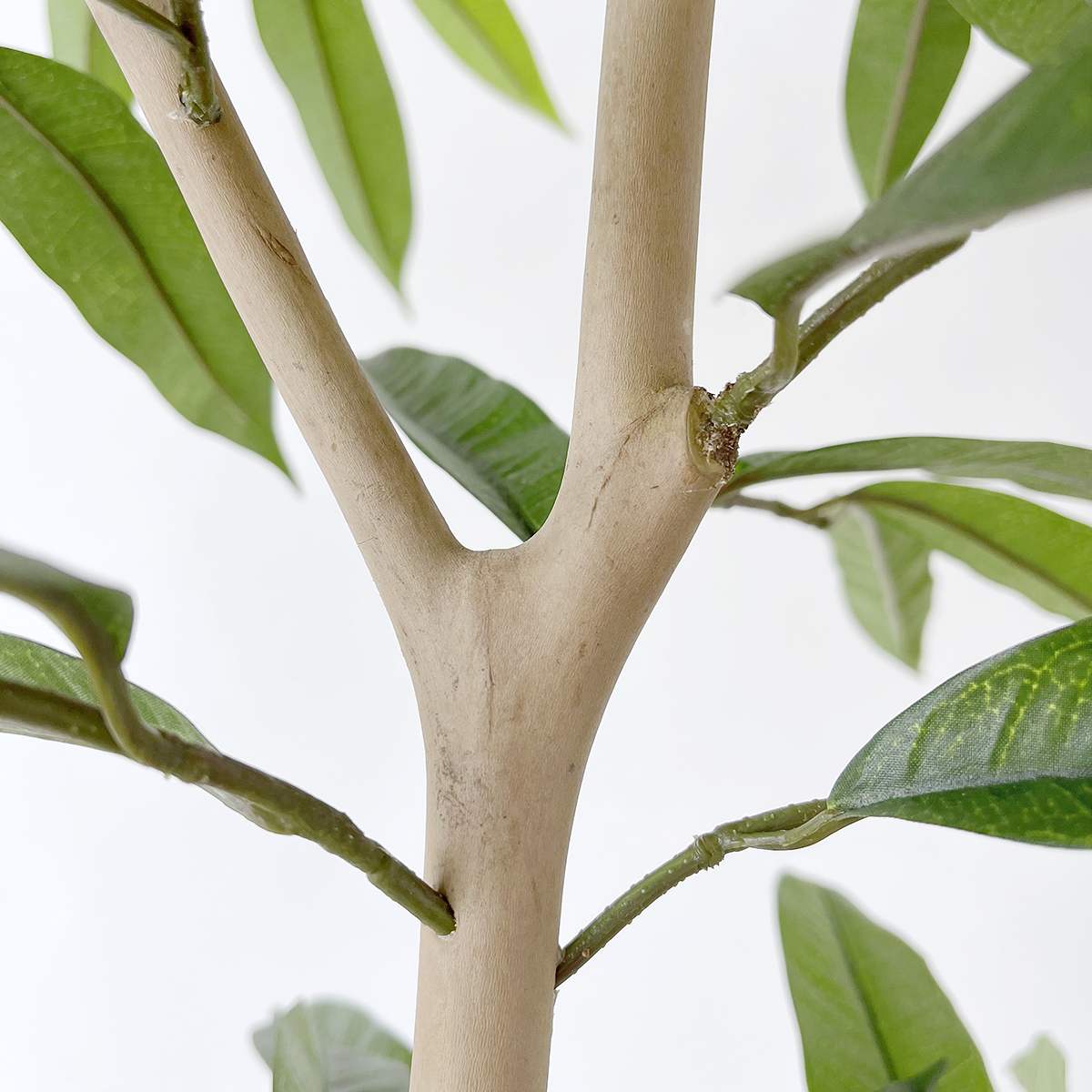 (1)アムステルダムラバー