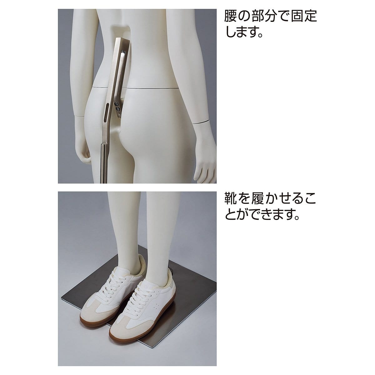 (1)紳士