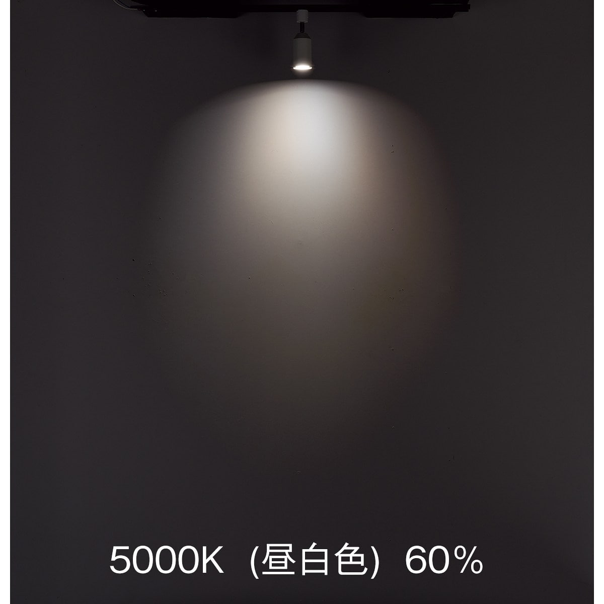 調光調色スマートスポットライト〔ストエキオリジナル〕 本体[リモコン付き]