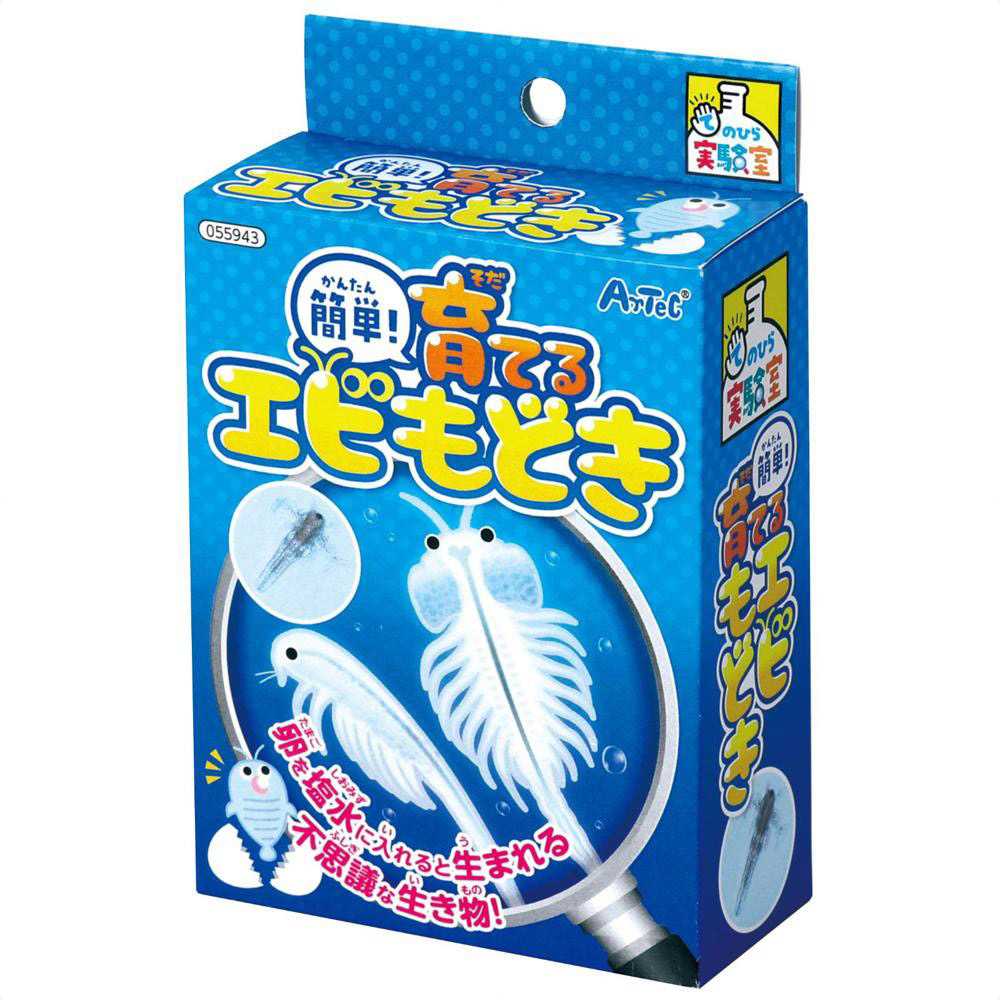 40個 簡単！育てるエビもどき イベントセット
