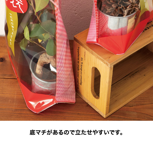 30枚 ジップ付き福袋スタンドバッグ